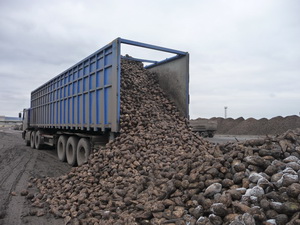 2011_11_29__03.JPG