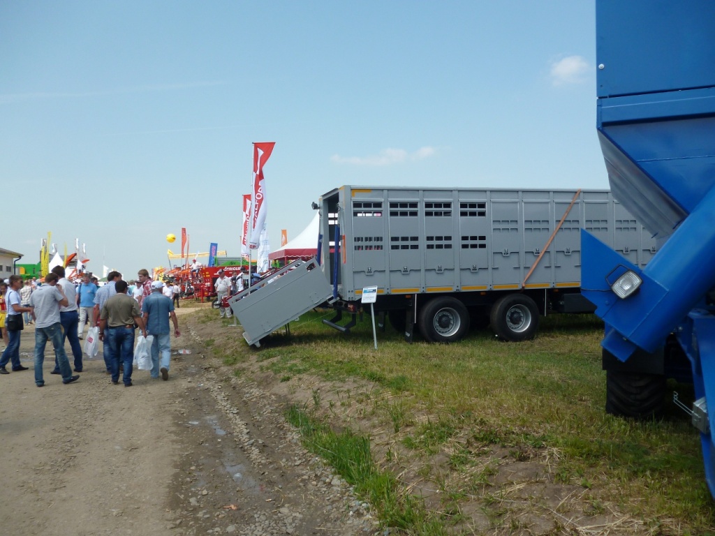 P1010065.JPG