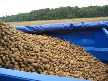 2009_08_25__03.jpg